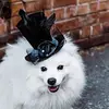 Angela Northrop - @angelanorthrop - TikTok