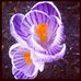 Angie Northrop - Facebook