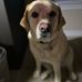 Angie Northrop Hise - Facebook