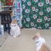 Angie Parrish - Facebook