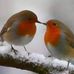 Angie Pennington - Facebook