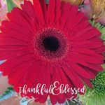 Angie Asbury Prescott - @frank_bryan00 - Instagram