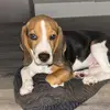 Angie Quick - @angie.quick8 - TikTok