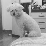 Angie _ ☆ - @angie_quiste - Instagram