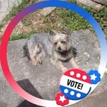 Angie Rasmussen - @rasmussenmom4 - Instagram