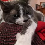 Angela Rathbone - @angie1960baby - Instagram