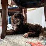 Angie Rucker - @lily.b.doodle - Instagram