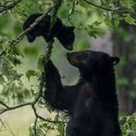 Angie Rucker Taylor - @angie.taylor.wi - Instagram
