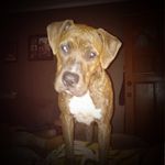 Angie Seale - @angelbuns41 - Instagram