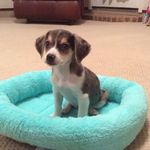 @angie_sealey11 - Instagram