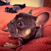 Angie Dillon-Shore - @angie.dillonshore - TikTok