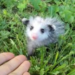 Angelina Sidebottom - @a.plant.cato_o - Instagram