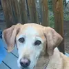 angiemillslagle - @angiemillslagle - TikTok