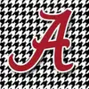 angiesledgeground - @angiesledgeground - TikTok
