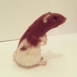 @angiesneedlefeltingcrafts - Instagram