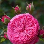 Angela Socha - Facebook