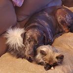 Angela Stackhouse - Facebook