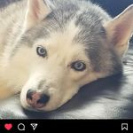 Angie Stokes McGraw - @angmac0923 - Instagram