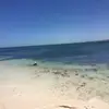 Angie stokes - @angie.stokes - TikTok
