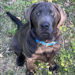 Angie Thurman - @ajthurman36 - Instagram