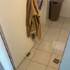 angie tracy - @angie.tracy6 - TikTok