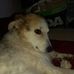 Angie Willis - Facebook