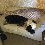 Angus Campbell - @angus373 - Instagram