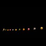 Angus Campbell - @_campbell.photography - Instagram