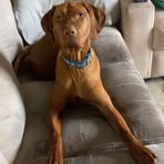 Angus Clark - Facebook