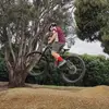 Bullfrog - @angusclark_05 - TikTok
