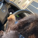 Angus Douglas - @angxsdouglxsbackup - Instagram