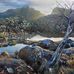 Angus Douglas Artist - Facebook