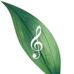 Angus Findlay Music Tutoring - Facebook