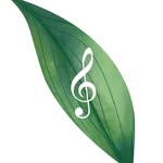 Angus Findlay Music Tutoring - @angusfindlay.musictutoring - Instagram
