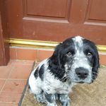 angus gardner - @gardner_angus - Instagram