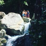 Angus Hunt🌲 - @angus_hunt164 - Instagram
