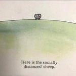 Angus Hunt - @mctavish_angus - Instagram