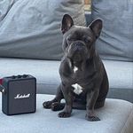 Angus Hunt 🖤🐾 - @angus_fb - Instagram