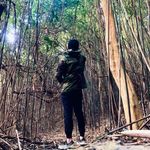 Angus Lai - @aanngguuss.17 - Instagram