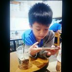 Angus Lai - Facebook