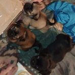 Angus Laird - Facebook