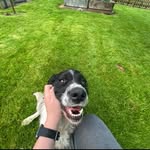 Angus White-Laird - @whitelaird09 - Instagram