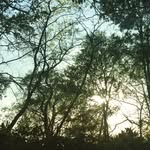 Angus MacIver - @angus.maciver - Instagram
