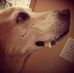 Angus MacIver - Facebook