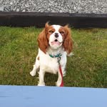 Angus Maciver - @manman6433 - Instagram
