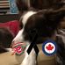 Angus N Maciver - Facebook