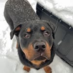 Angus Mackenzie - @angus_mackenzie4658 - Instagram