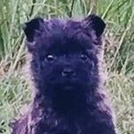 Angus McLeod - @my_real_name_is_angus - Instagram