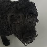 Angus Parsons - @angus_parsons01 - Instagram