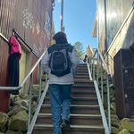 Gus - @anguspriddle - Instagram
